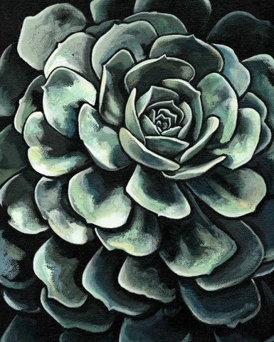 Printed Lunar Succulent II Black Ornate Wood Framed Art Print with Double Matting by Meagher, Megan