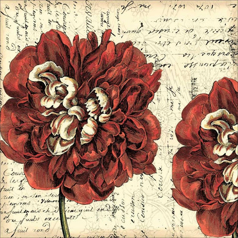 Printed Vintage Composition I White Modern Wood Framed Art Print by Vision Studio