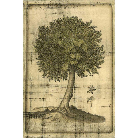 Printed Fruitful Realm I  Gold Ornate Wood Framed Art Print with Double Matting by Vision Studio