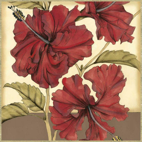 Cropped Sophisticated Hibiscus I  Gold Ornate Wood Framed Art Print with Double Matting by Goldberger, Jennifer