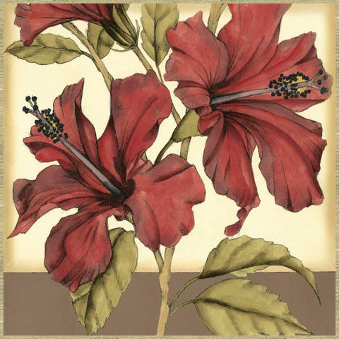 Cropped Sophisticated Hibiscus II White Modern Wood Framed Art Print by Goldberger, Jennifer