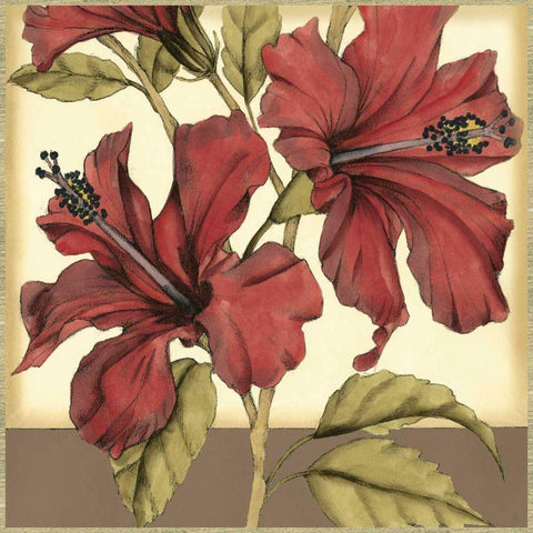 Cropped Sophisticated Hibiscus II Black Modern Wood Framed Art Print with Double Matting by Goldberger, Jennifer