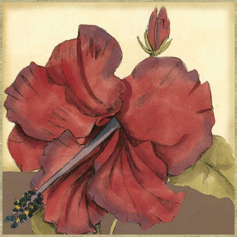 Cropped Sophisticated Hibiscus III  Gold Ornate Wood Framed Art Print with Double Matting by Goldberger, Jennifer