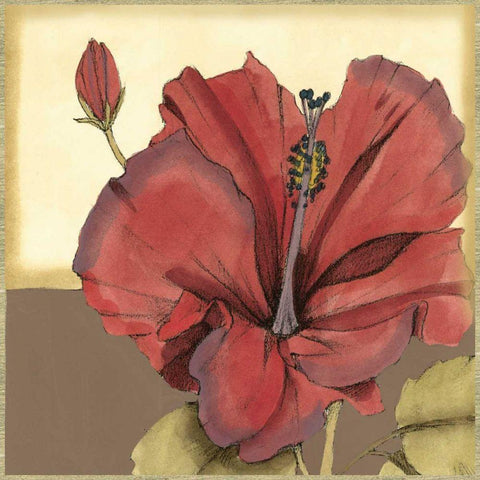 Cropped Sophisticated Hibiscus IV  White Modern Wood Framed Art Print with Double Matting by Goldberger, Jennifer