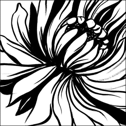 Miniature Botanical Sketch II White Modern Wood Framed Art Print by Harper, Ethan