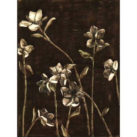 Medium Blossom Nocturne I  Black Modern Wood Framed Art Print with Double Matting by Meagher, Megan