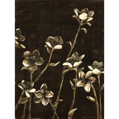 Medium Blossom Nocturne II Black Modern Wood Framed Art Print by Meagher, Megan