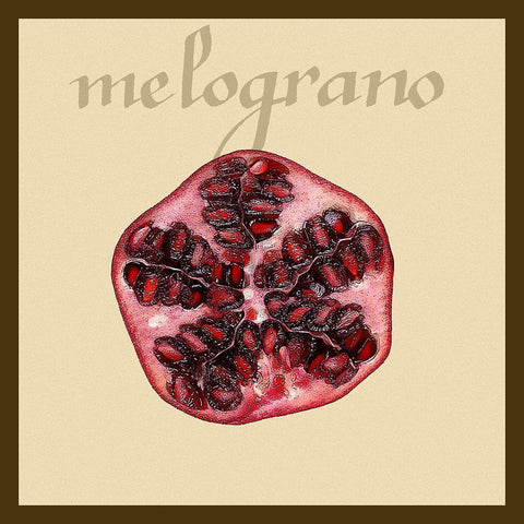 Italian Fruit I White Modern Wood Framed Art Print with Double Matting by Vision Studio