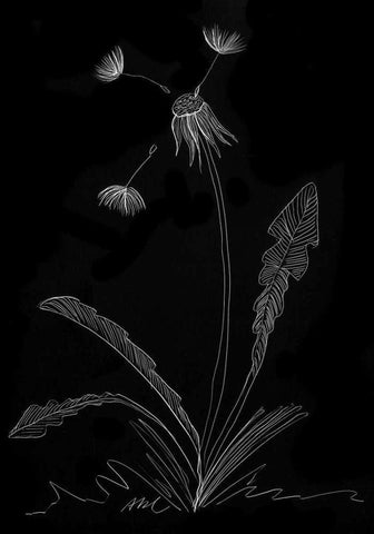 Dandelion Garden I Black Ornate Wood Framed Art Print with Double Matting by Ludwig, Alicia