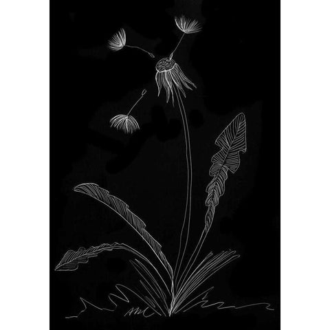 Dandelion Garden I Black Modern Wood Framed Art Print with Double Matting by Ludwig, Alicia