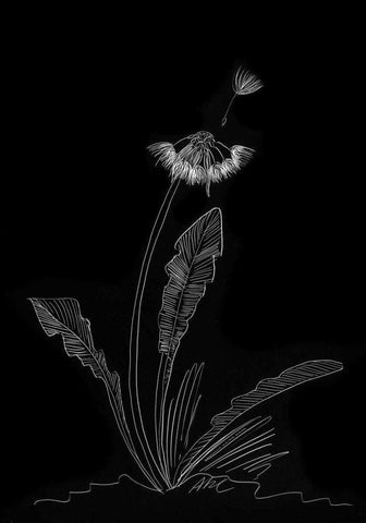 Dandelion Garden II Black Ornate Wood Framed Art Print with Double Matting by Ludwig, Alicia