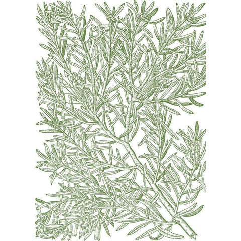 Mossy Branches I Black Modern Wood Framed Art Print by du Monceau, Duhamel