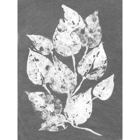 Frosty Philodendron I Black Modern Wood Framed Art Print with Double Matting by Ludwig, Alicia