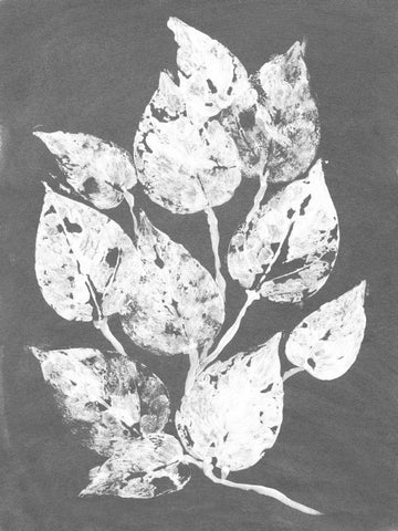 Frosty Philodendron I White Modern Wood Framed Art Print with Double Matting by Ludwig, Alicia