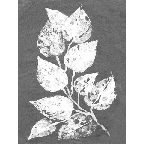 Frosty Philodendron II White Modern Wood Framed Art Print by Ludwig, Alicia