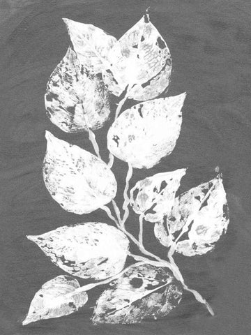 Frosty Philodendron II White Modern Wood Framed Art Print with Double Matting by Ludwig, Alicia