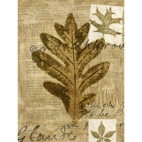 Leaf Collage I Black Modern Wood Framed Art Print with Double Matting by Archie, K.