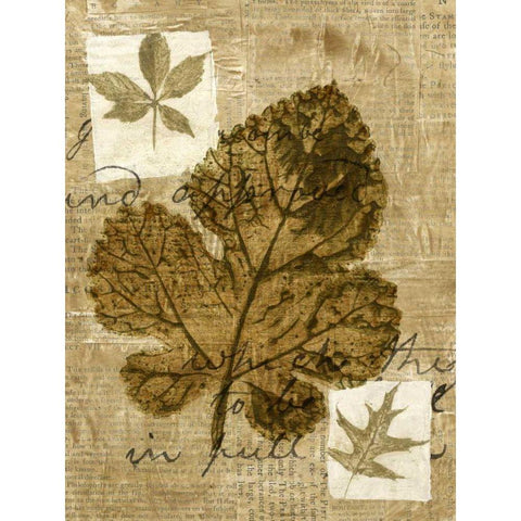 Leaf Collage IV Gold Ornate Wood Framed Art Print with Double Matting by Archie, K.