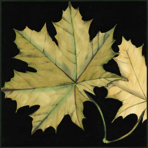 Small Tandem Leaves II Black Modern Wood Framed Art Print with Double Matting by Goldberger, Jennifer