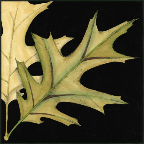 Small Tandem Leaves III White Modern Wood Framed Art Print by Goldberger, Jennifer