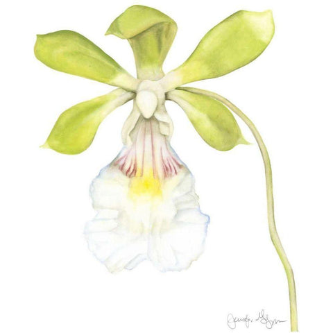 Small Orchid Beauty I White Modern Wood Framed Art Print by Goldberger, Jennifer