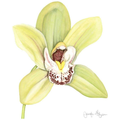 Small Orchid Beauty II White Modern Wood Framed Art Print by Goldberger, Jennifer