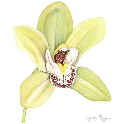 Small Orchid Beauty II Gold Ornate Wood Framed Art Print with Double Matting by Goldberger, Jennifer