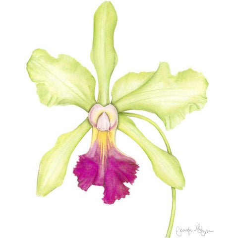 Small Orchid Beauty III White Modern Wood Framed Art Print by Goldberger, Jennifer