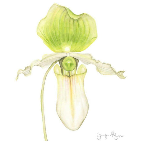 Small Orchid Beauty IV White Modern Wood Framed Art Print by Goldberger, Jennifer