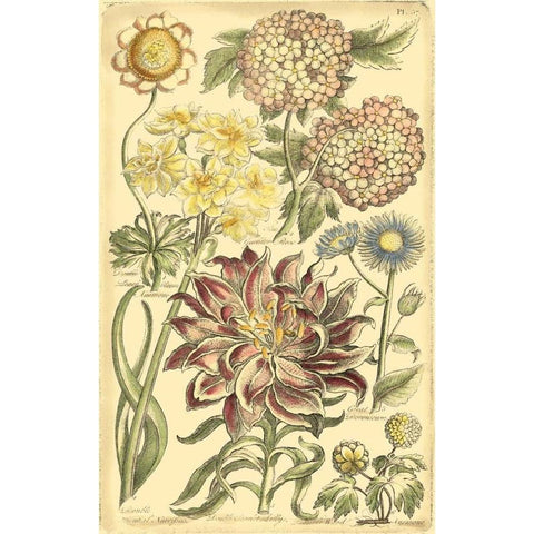 Floral Bounty I White Modern Wood Framed Art Print by Vision Studio