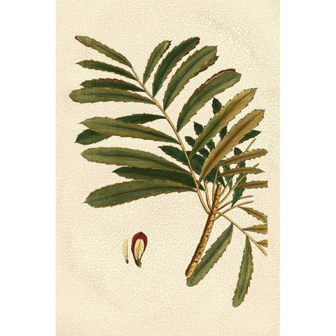 Small Seasonal Foliage II Gold Ornate Wood Framed Art Print with Double Matting by Vision Studio