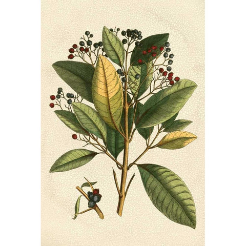 Small Seasonal Foliage IV Gold Ornate Wood Framed Art Print with Double Matting by Vision Studio