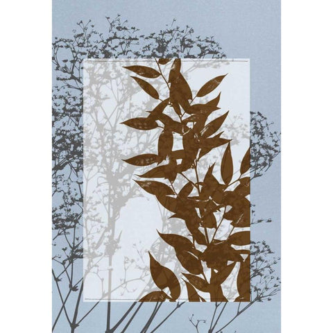 Small Translucent Wildflowers VI Black Modern Wood Framed Art Print with Double Matting by Goldberger, Jennifer