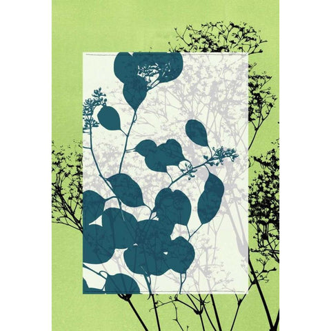 Small Translucent Wildflowers VII Black Modern Wood Framed Art Print by Goldberger, Jennifer