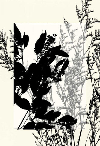 Small Translucent Wildflowers IX Black Ornate Wood Framed Art Print with Double Matting by Goldberger, Jennifer