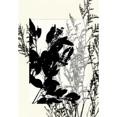 Small Translucent Wildflowers IX Black Modern Wood Framed Art Print by Goldberger, Jennifer