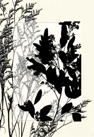 Small Translucent Wildflowers X Black Ornate Wood Framed Art Print with Double Matting by Goldberger, Jennifer