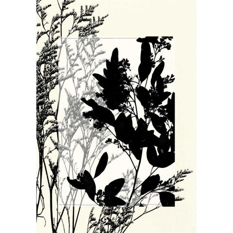 Small Translucent Wildflowers X Black Modern Wood Framed Art Print with Double Matting by Goldberger, Jennifer