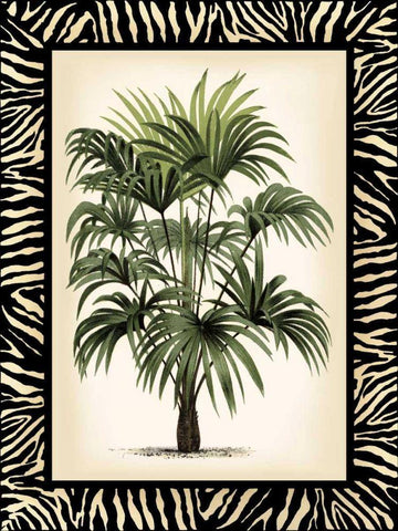 Small Palm in Zebra Border I Black Ornate Wood Framed Art Print with Double Matting by Vision Studio