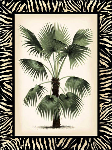 Small Palm in Zebra Border II Black Ornate Wood Framed Art Print with Double Matting by Vision Studio