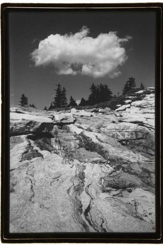 Cloud Dream Black Ornate Wood Framed Art Print with Double Matting by DeNardo, Laura
