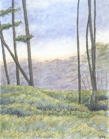 Tranquil Horizon II Black Ornate Wood Framed Art Print with Double Matting by Roper, Virginia A.