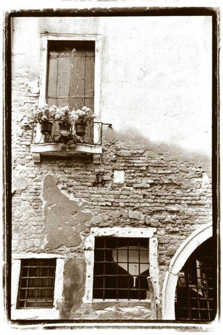 Balcony Flowers Black Ornate Wood Framed Art Print with Double Matting by DeNardo, Laura