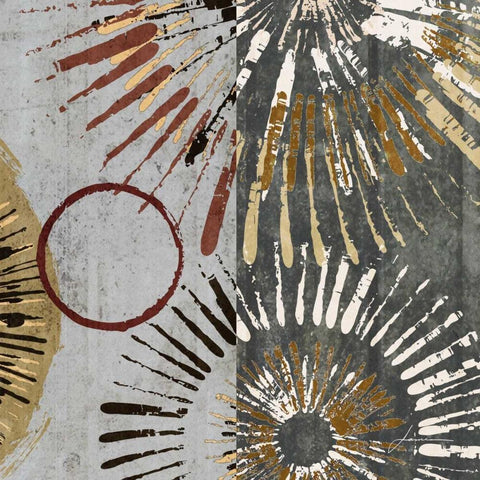 Outburst Tiles II Gold Ornate Wood Framed Art Print with Double Matting by Burghardt, James