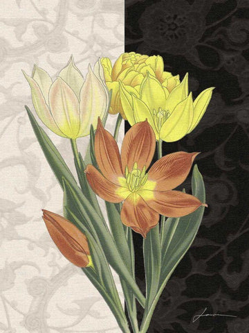 Centerpiece II Black Ornate Wood Framed Art Print with Double Matting by Burghardt, James