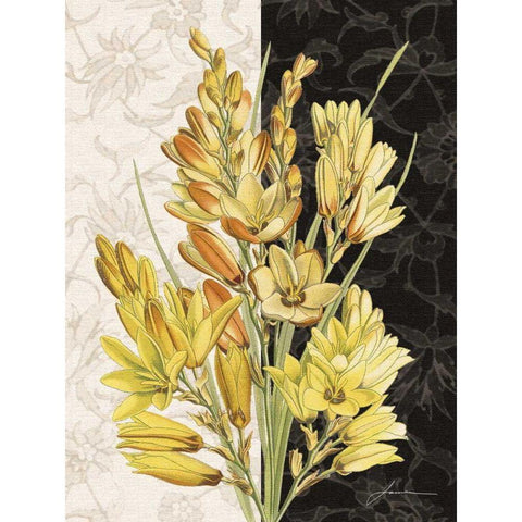 Centerpiece IV White Modern Wood Framed Art Print by Burghardt, James