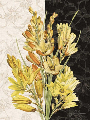 Centerpiece IV White Modern Wood Framed Art Print with Double Matting by Burghardt, James