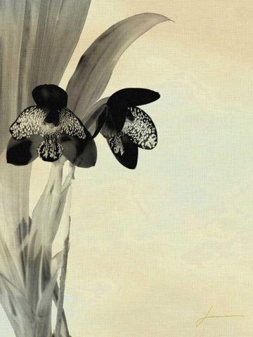 Orchid Blush Panels I Black Ornate Wood Framed Art Print with Double Matting by Burghardt, James