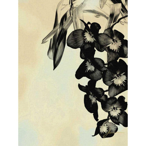 Orchid Blush Panels II White Modern Wood Framed Art Print by Burghardt, James