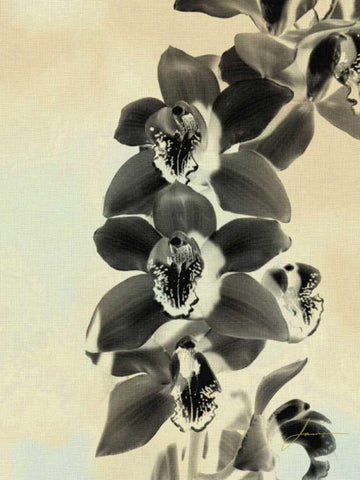 Orchid Blush Panels IV White Modern Wood Framed Art Print with Double Matting by Burghardt, James
